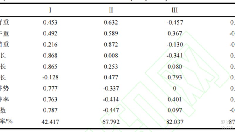 制药输送线GMP标准解析：合规与效率的双重保障
